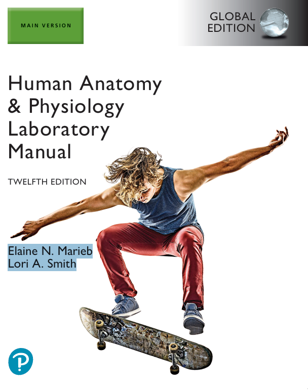 Human Anatomy & Physiology Laboratory Manual Twelfth Edition