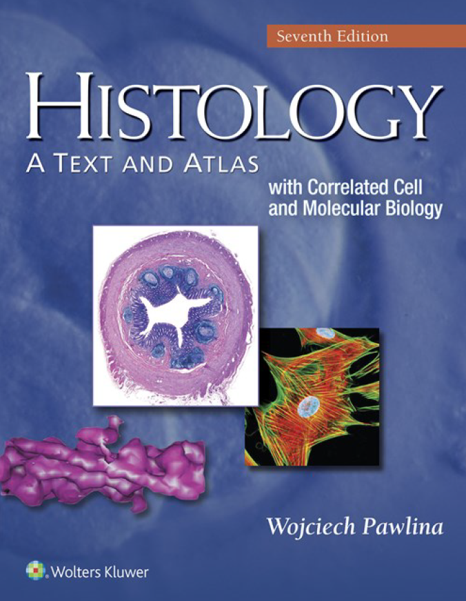 Histology a Text and Atlas With Correlated Cell and Molecular Biology Seventh Edition
