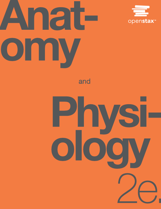 Anatomy and Physiology  2e 