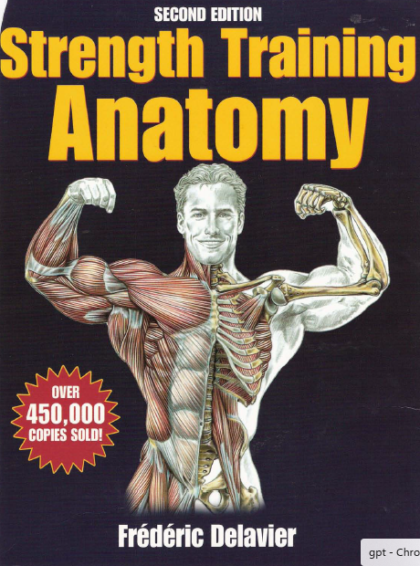 Strength Training Anatomy