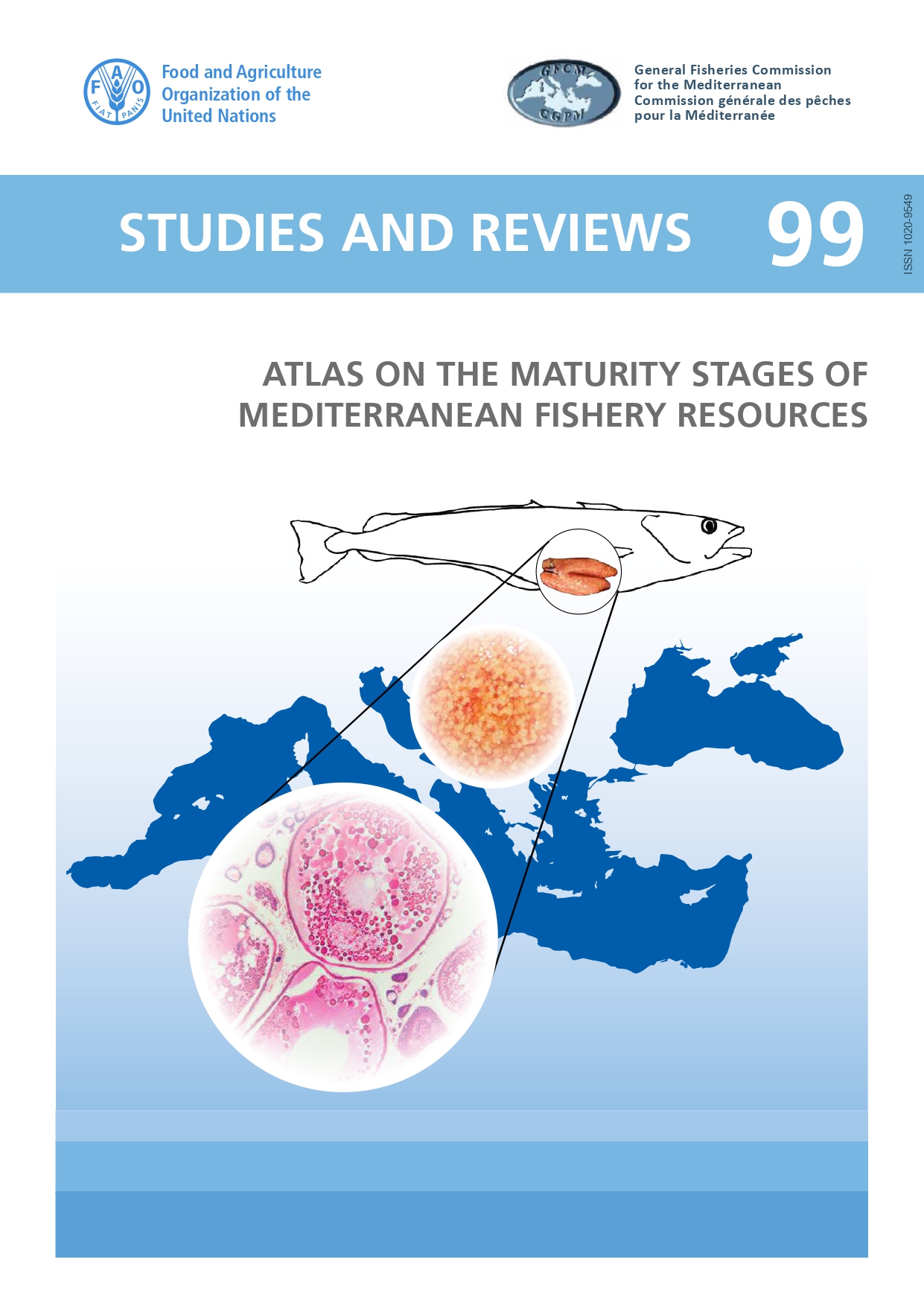 ATLAS OF THE MATURITY STAGES OF MEDITERRANEAN FISHERY RESOURCES
