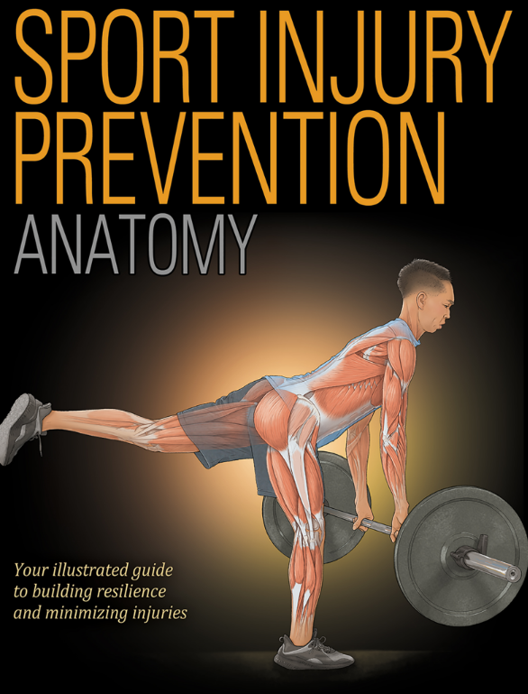 Sport Injury Prevention Anatomy