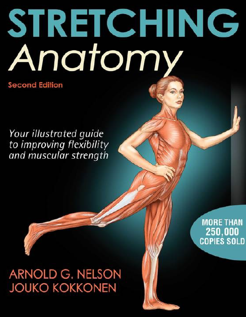 Stretching Anatomy 