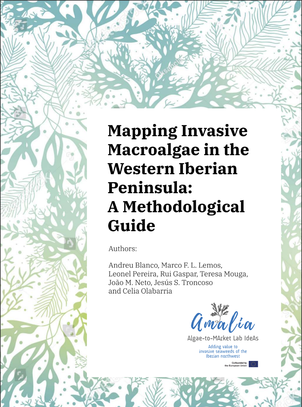 Mapping Invasive Macroalgae in the Western Iberian Peninsula: A Methodological Guide