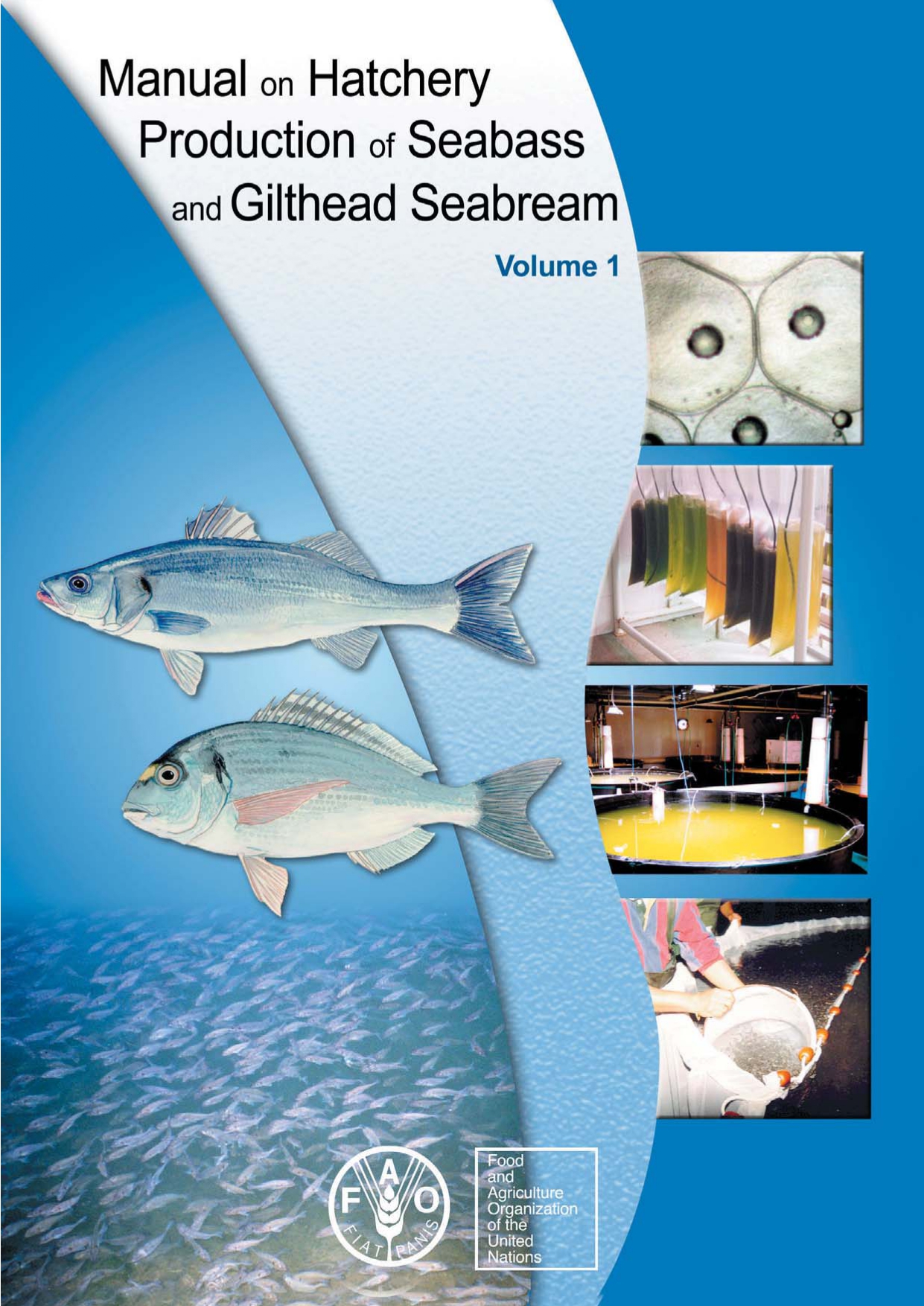Manual on Hatchery Production of Seabass and Gilthead Seabream