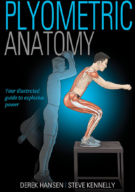 Plyometric Anatomy