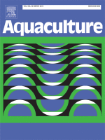Captive broodstock development, breeding and seed production of Anthid fish (family: Serranidae) Marcia's anthias, Pseudanthias marcia in recirculation aquaculture system (RAS)
