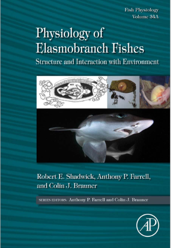 PHYSIOLOGY OF ELASMOBRANCH FISHES: STRUCTURE AND INTERACTION WITH ENVIRONMENT